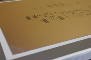 IMG_4936-1024x683